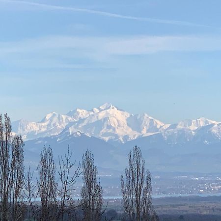 Chalet Du Montblanc 4 Pers Max Gex Dış mekan fotoğraf